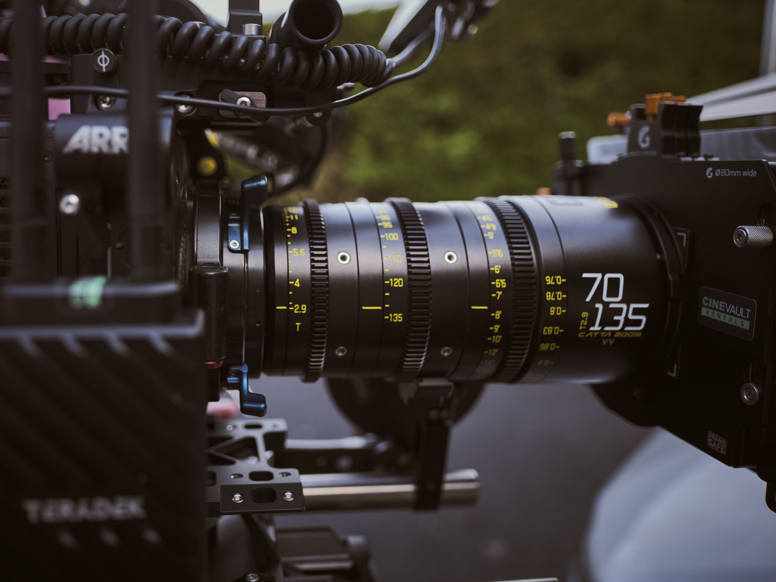 Navigating the Evolution of a creative media production agency// A Journey with Spicy Dog Media