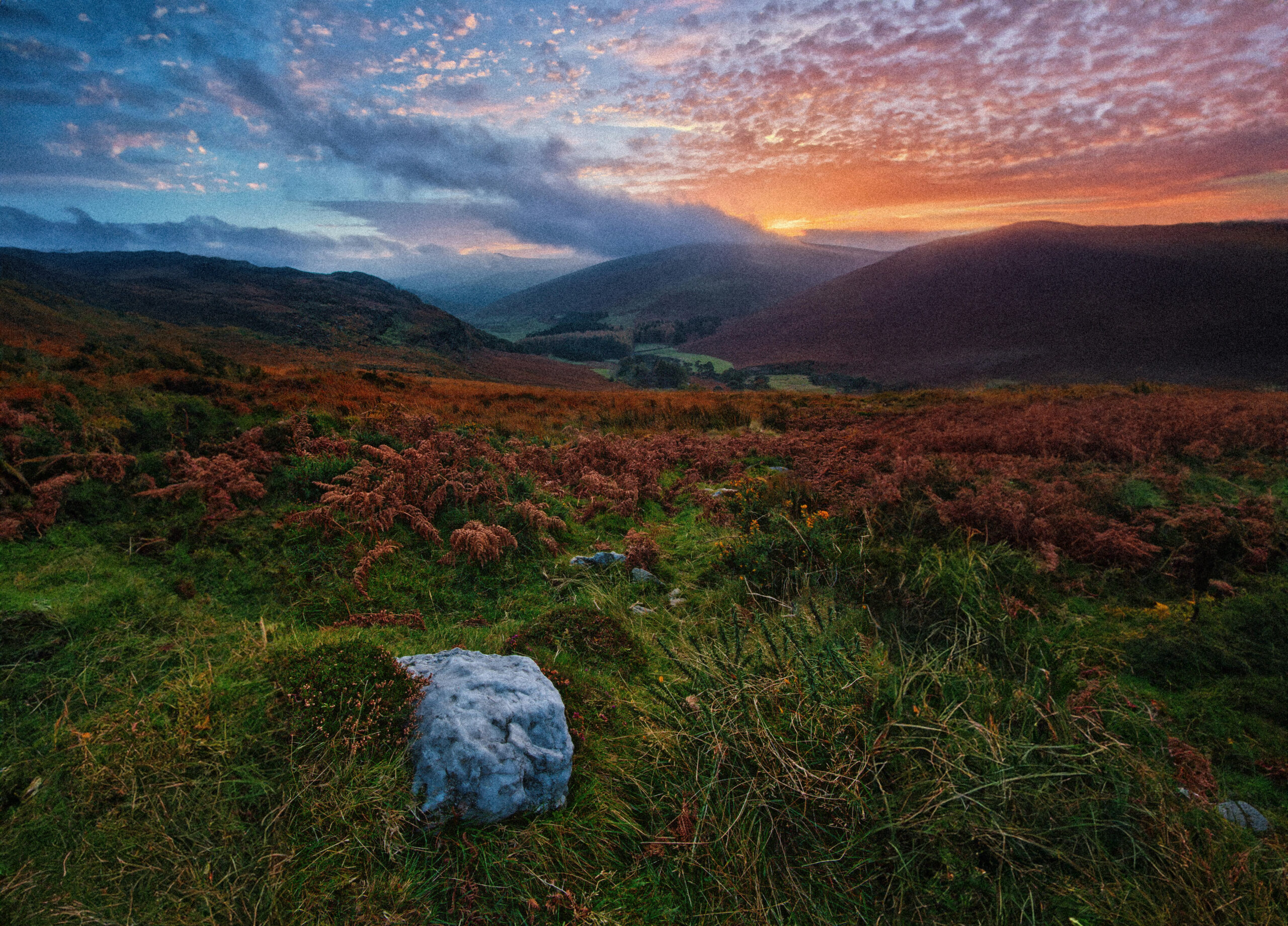 Video Production in Leinster: Unveiling the Secrets of Success