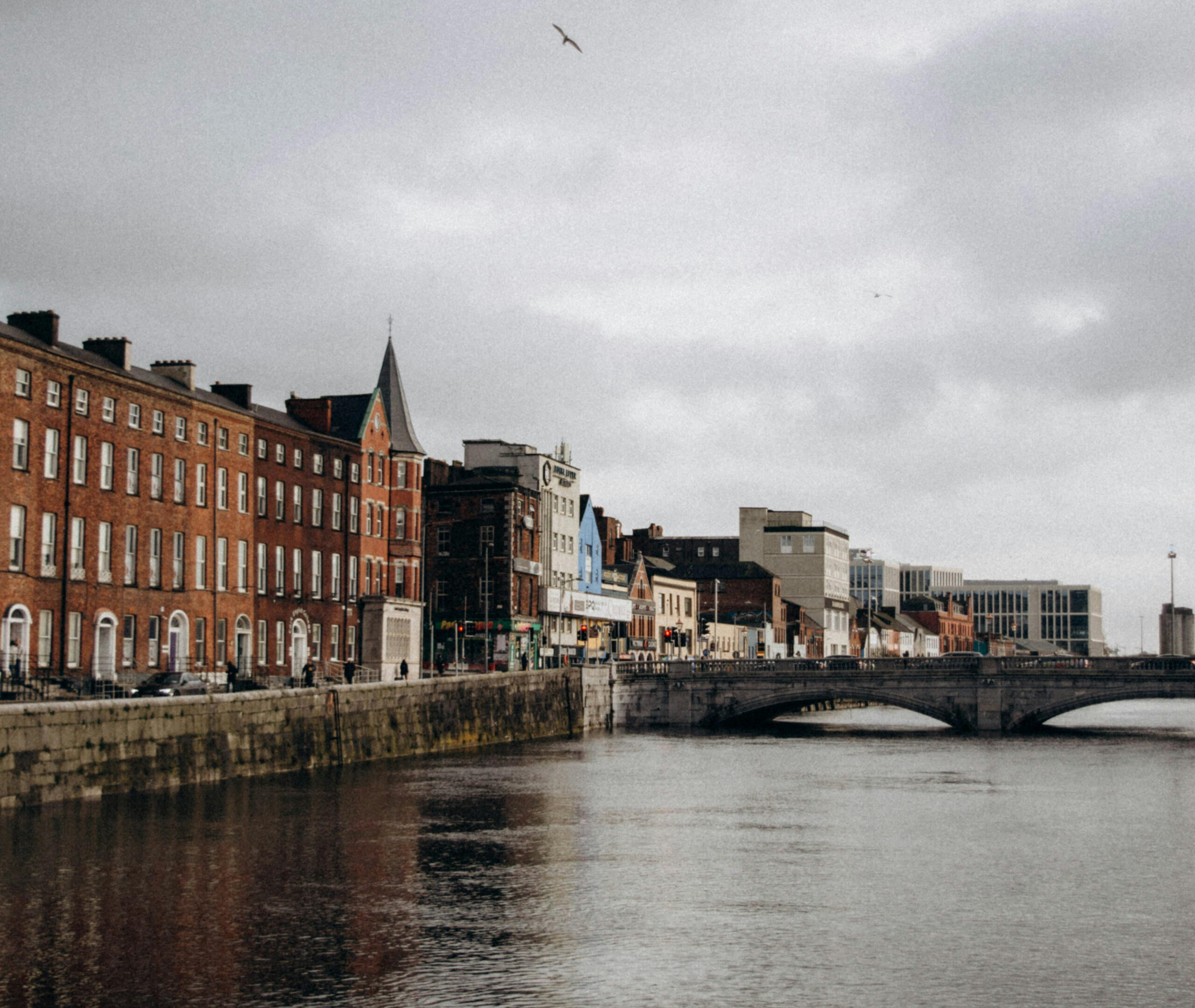 Spicy Dog Media: Your TikTok Video Company Cork