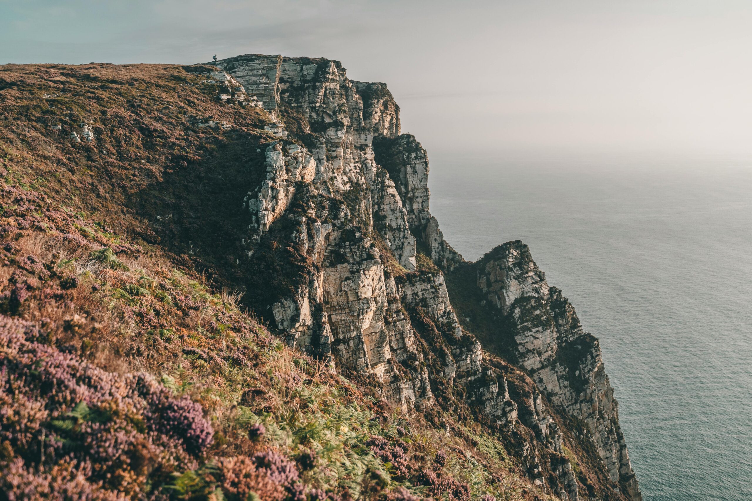 Video Production Donegal: Spicy Dog Media Is Ready to Help!