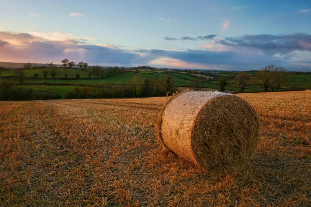 Video Production Cavan: Spicy Dog Media Have Got You Covered!