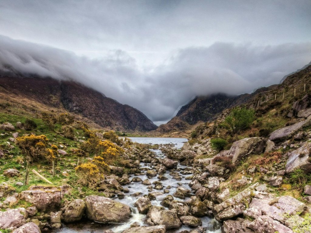 Video Production Derry: Trust Spicy Dog Media for Quality!