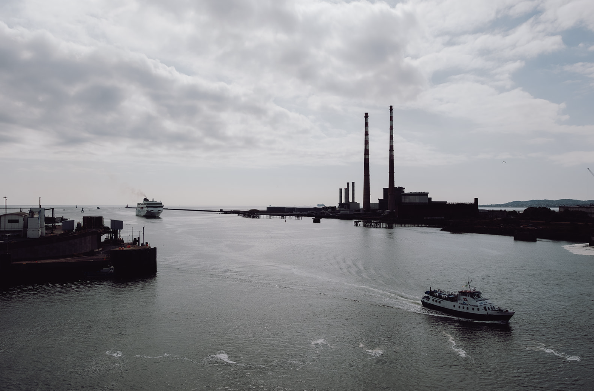 Video Production Dublin: Spicy Dog Media Has You Covered!