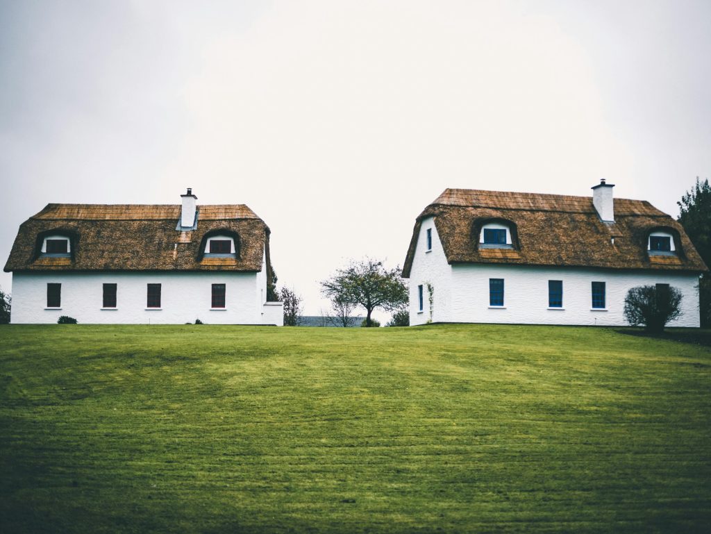 Video Production Laois: Spicy Dog Media Will Lead the Way!