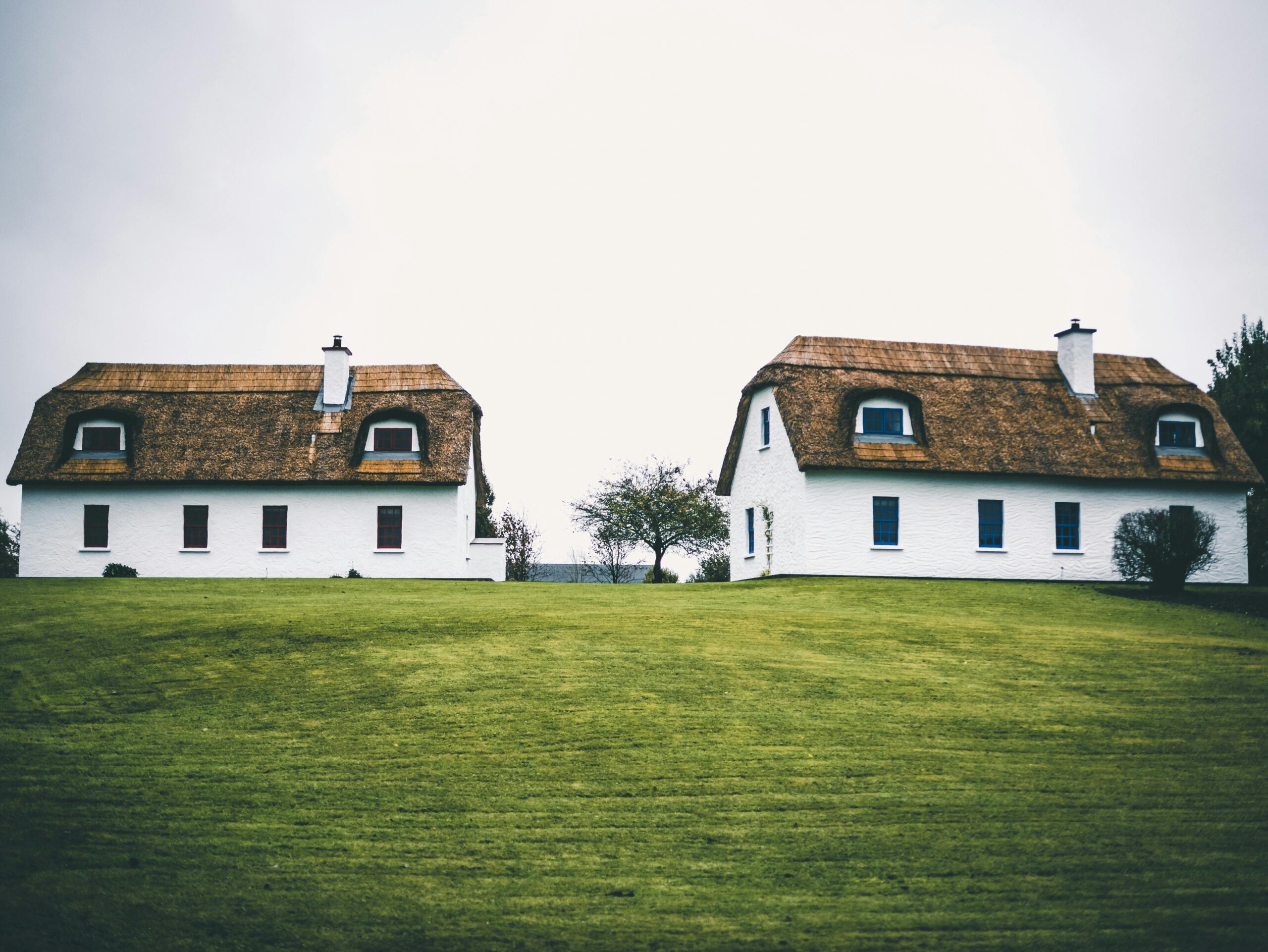 Video Production Laois: Spicy Dog Media Will Lead the Way!