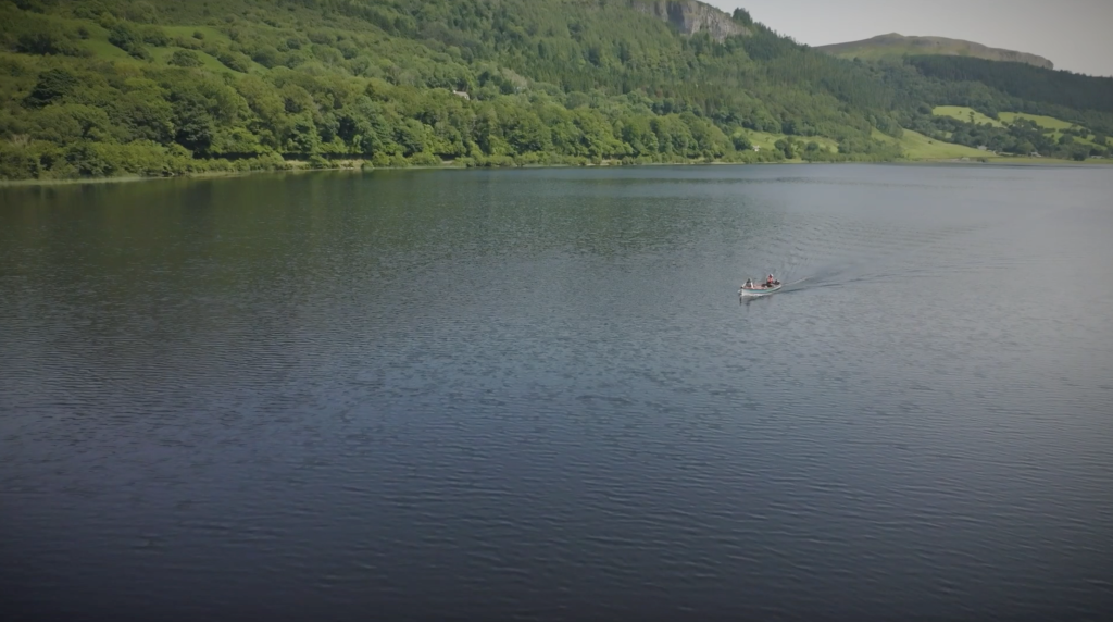 Video Production Leitrim: Choose Spicy Dog Media for Success!