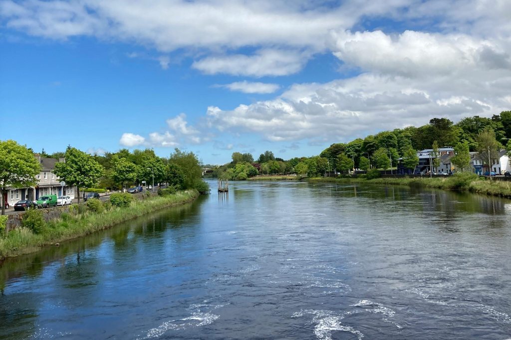 Video Production Mayo: Spicy Dog Media Will Help You Shine!