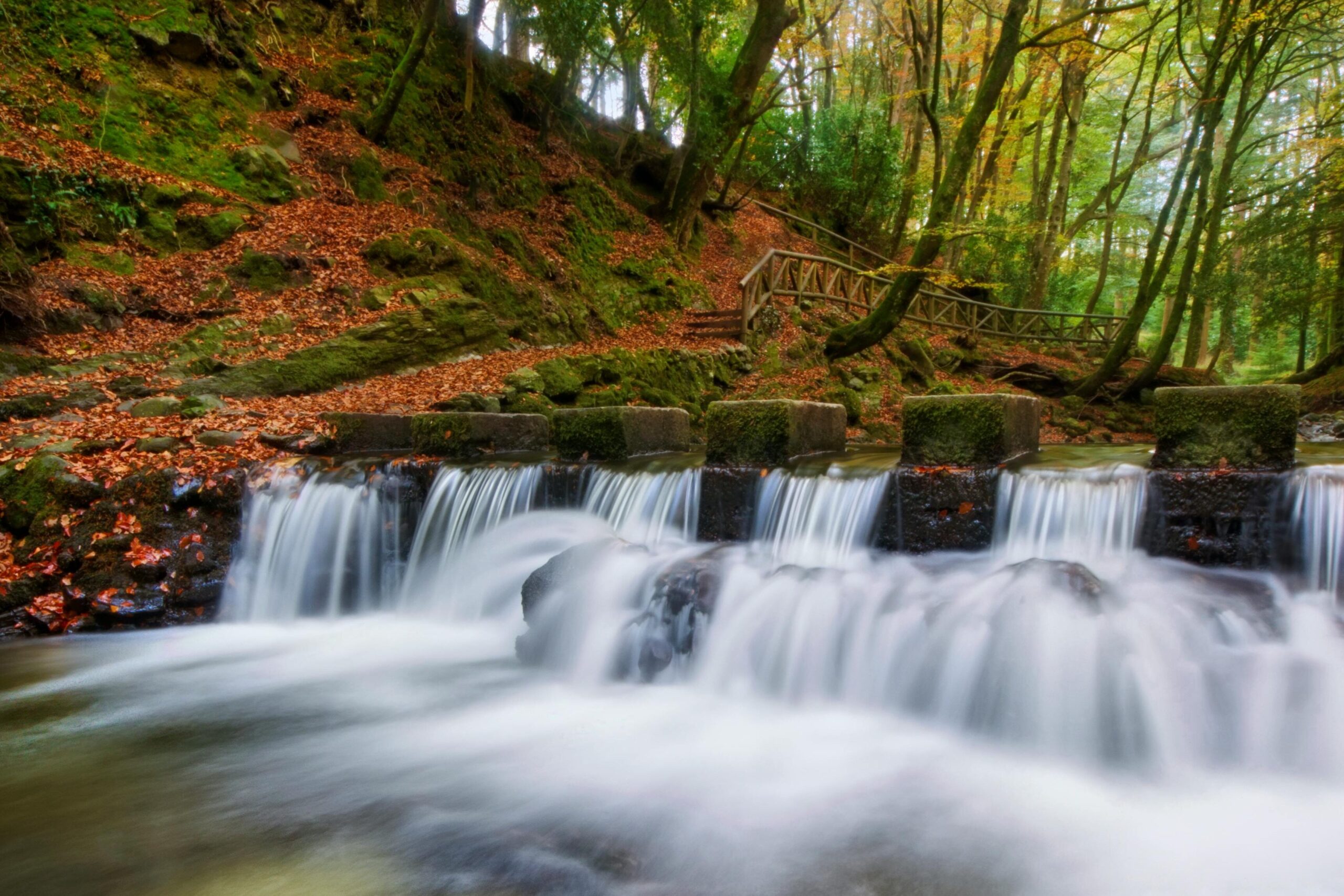 Video Production Tyrone: Choose Spicy Dog Media for Expertise!